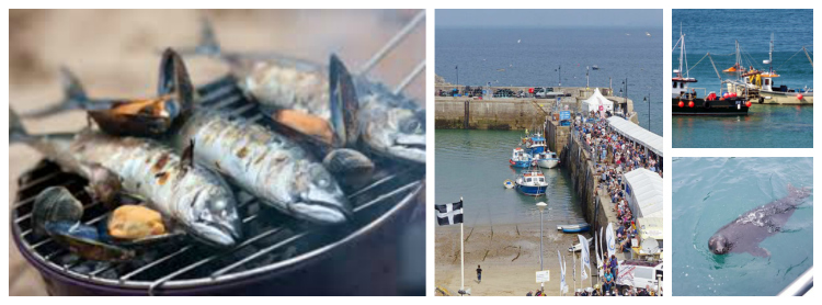 Fishing Collage